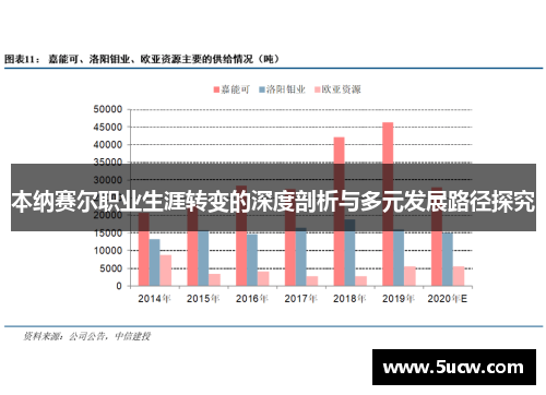 本纳赛尔职业生涯转变的深度剖析与多元发展路径探究