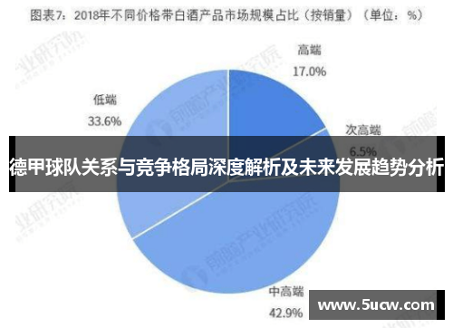 德甲球队关系与竞争格局深度解析及未来发展趋势分析