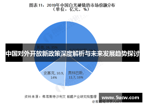 中国对外开放新政策深度解析与未来发展趋势探讨