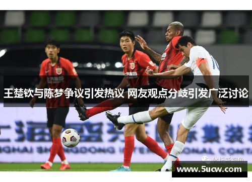 王楚钦与陈梦争议引发热议 网友观点分歧引发广泛讨论 王楚钦与陈梦争议引发热议 网友观点分歧引发广泛讨论