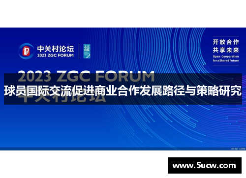 球员国际交流促进商业合作发展路径与策略研究